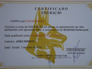 Certificado2