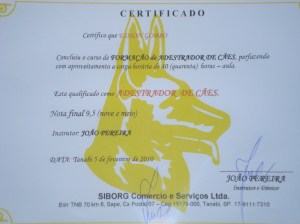Certificado 1