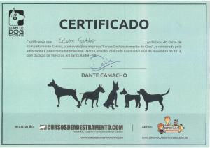 Curso Dante