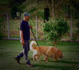 Passeio livre na guia.